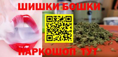 СК Бердск