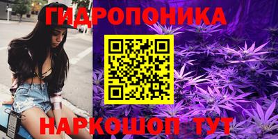 СК Бердск