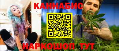 СК Бердск