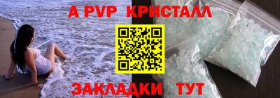СК Бердск