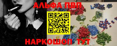 СК Бердск