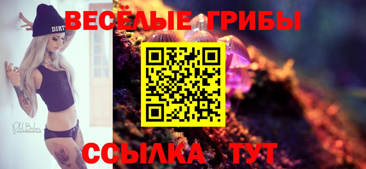 Псилоцибиновые грибы Psilocybe Егорьевск